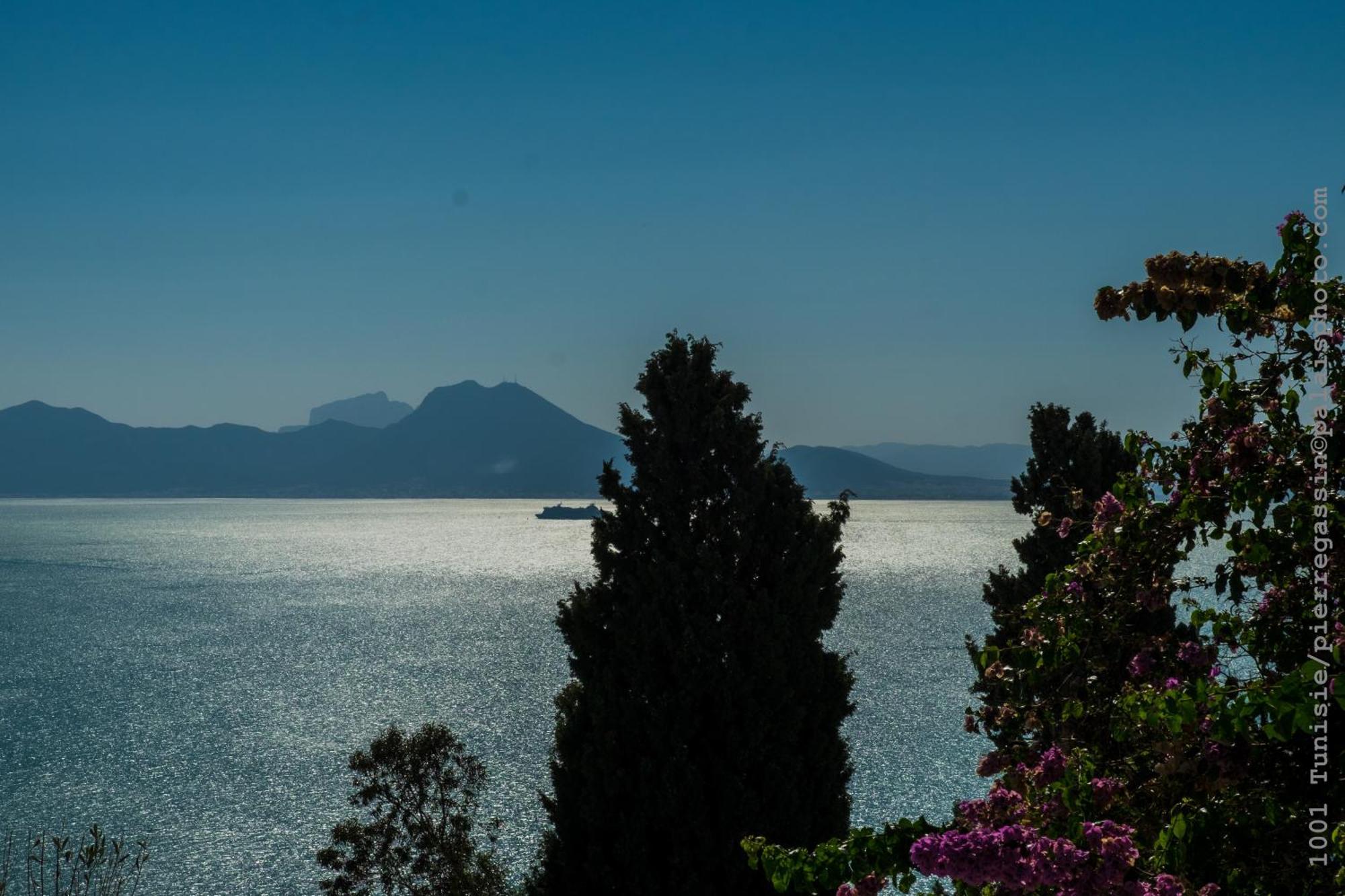 Dar Said Hotel Sidi Bou Said Exterior photo